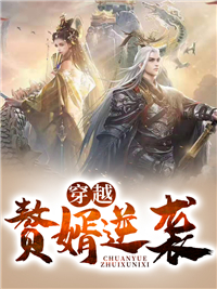 逆袭赘婿何辰