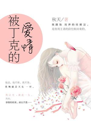 被丁克的爱情