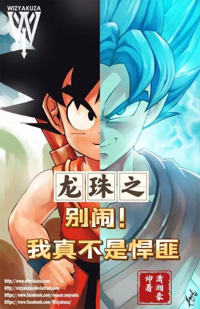 龙珠之别闹！我真不是悍匪