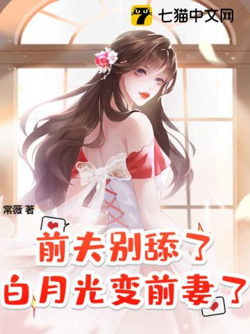 前夫别舔了,白月光变前妻了