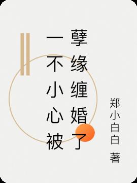 一不小心被孽缘缠婚了