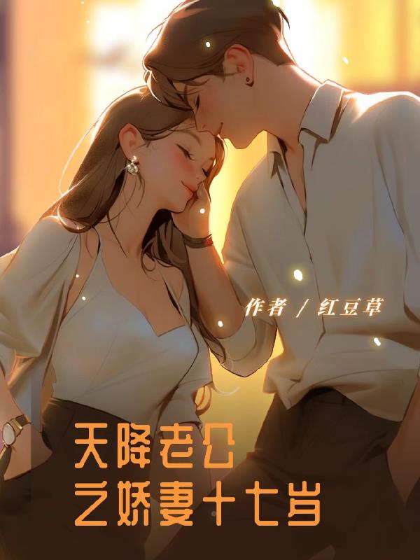 天降老公之娇妻十七岁