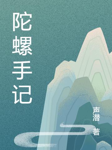 陀螺手记