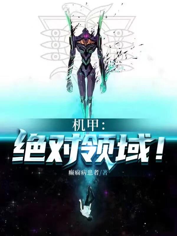 机甲：绝对领域！