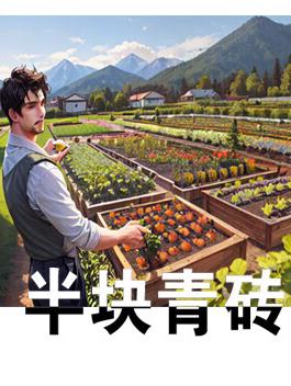 半块青砖