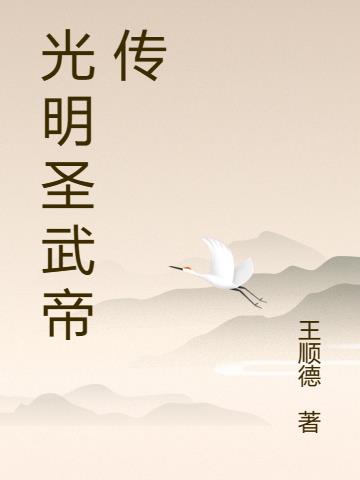 光明圣武帝传